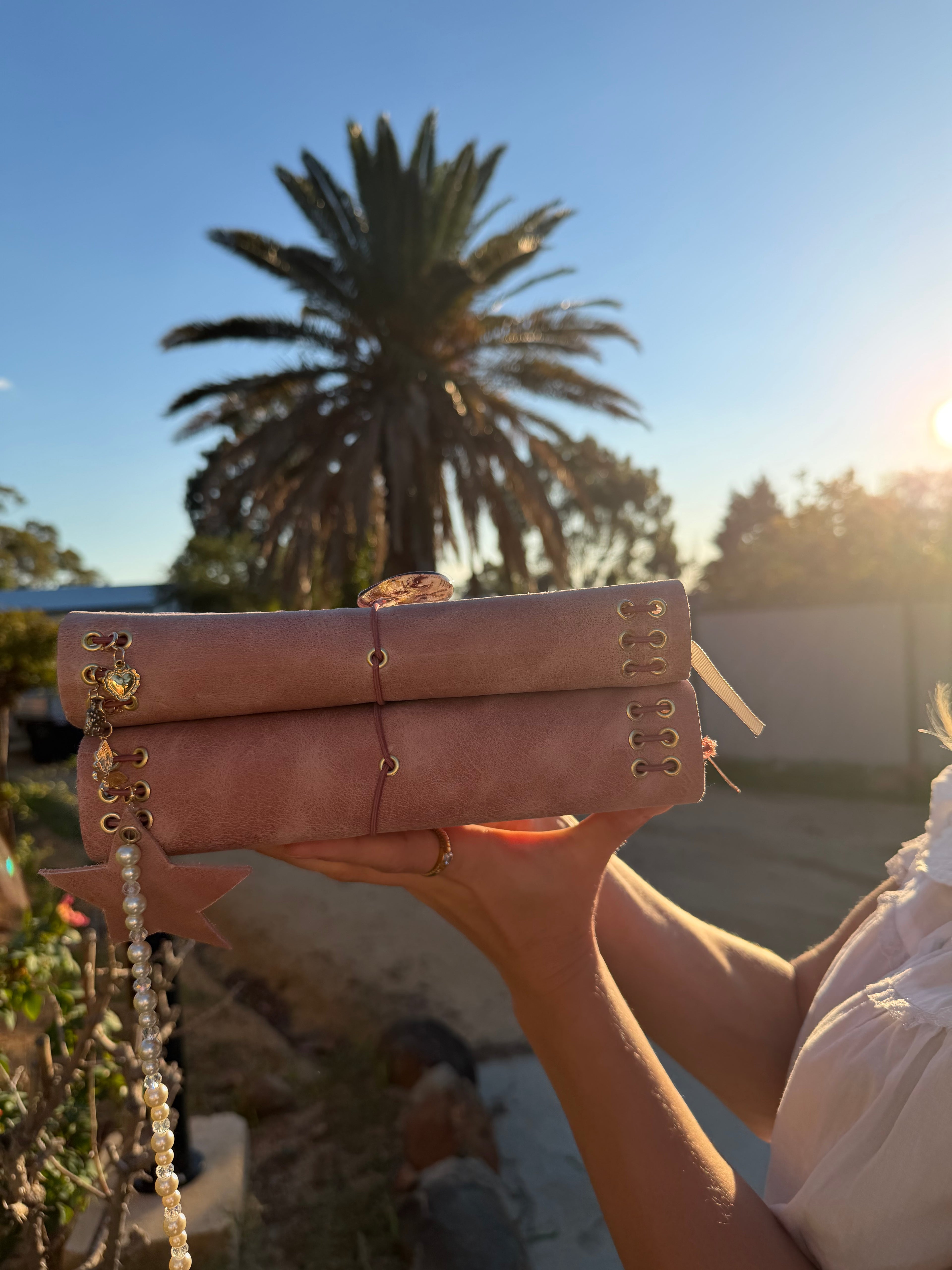 The Monty Journal